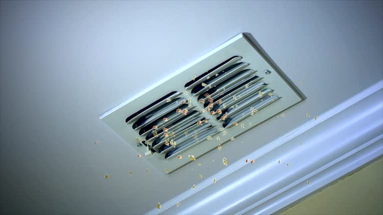 Best Air Duct Cleaning Near Me  in Indnola, IA